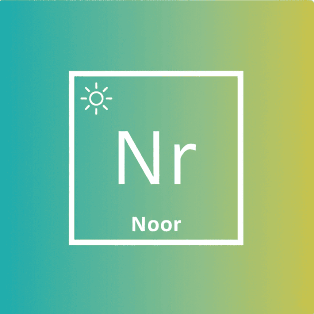 About Fior di Noor — 3